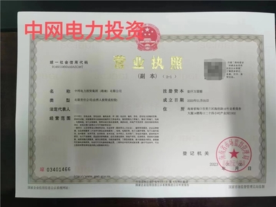 海南投資公司注冊(cè)中網(wǎng)電力投資集團(tuán)海南轉(zhuǎn)讓